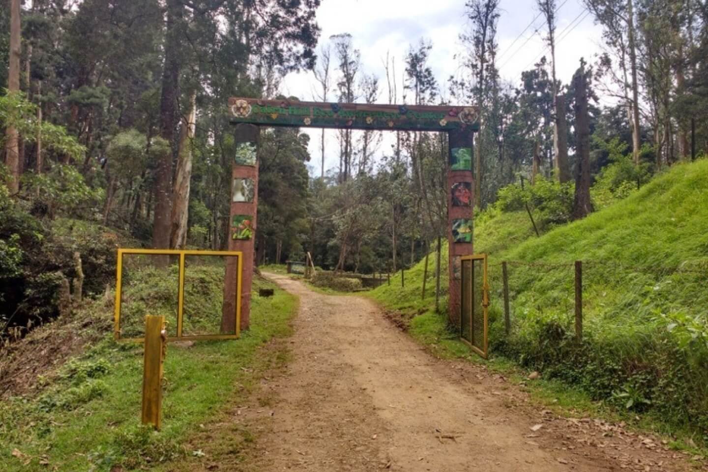 Cairnhill Eco Forest